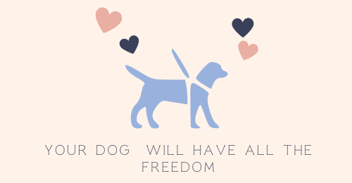 Your dog will have all the freedom